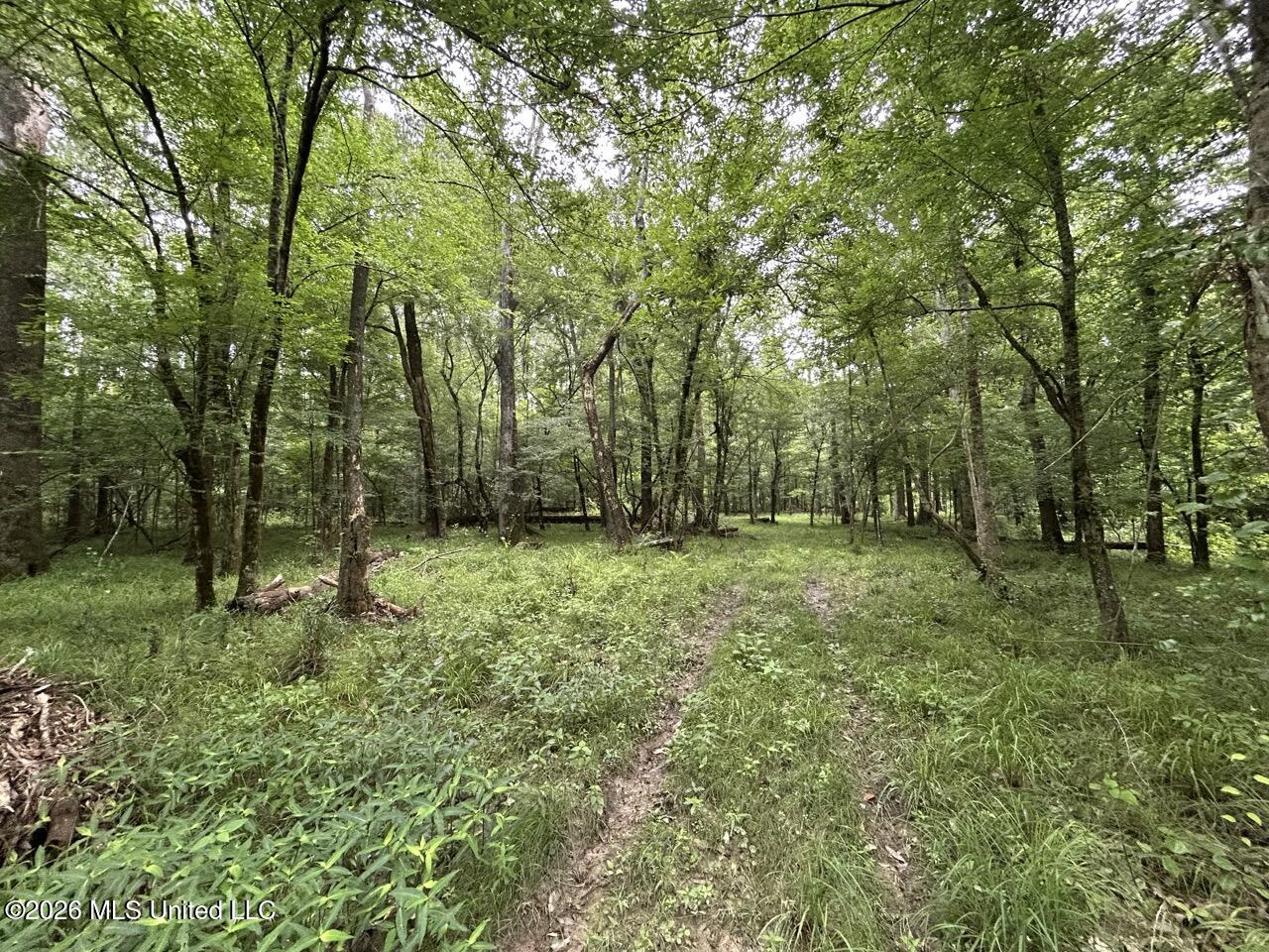 6643 Grange Hall Road Property Photo 21