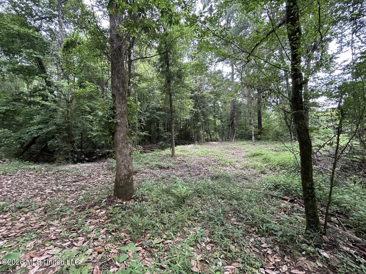 6643 Grange Hall Road Property Photo 23