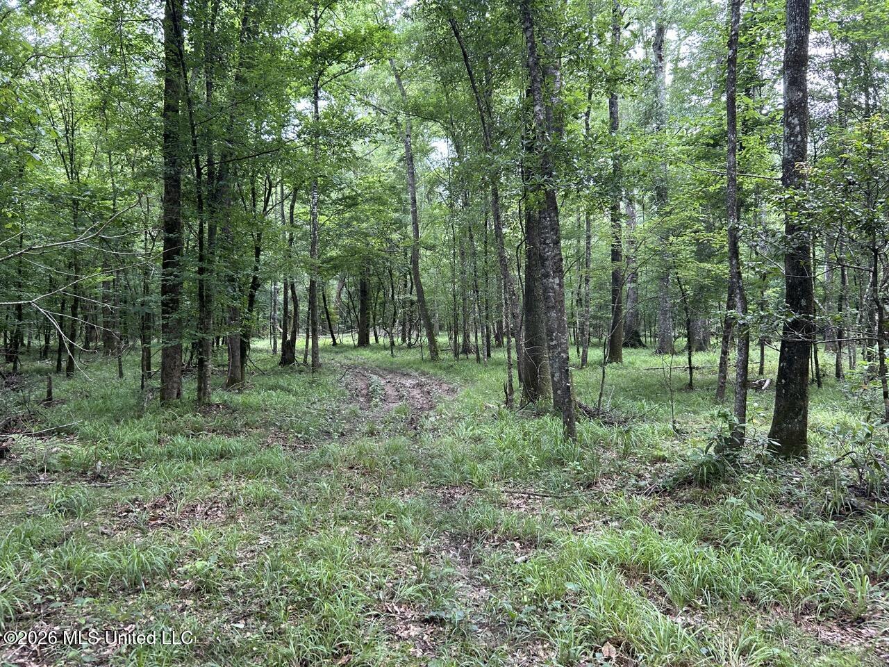 6643 Grange Hall Road Property Photo 27
