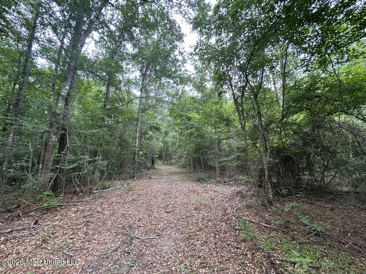 6643 Grange Hall Road Property Photo 29