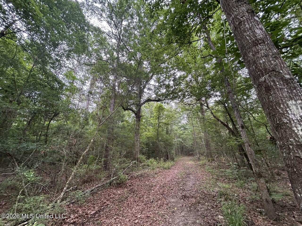 6643 Grange Hall Road Property Photo 30