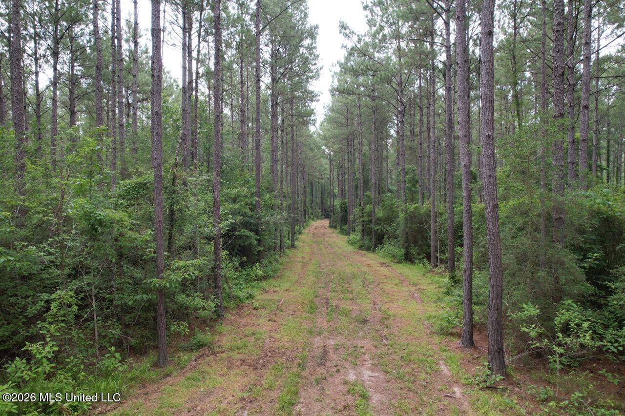 6643 Grange Hall Road Property Photo 39