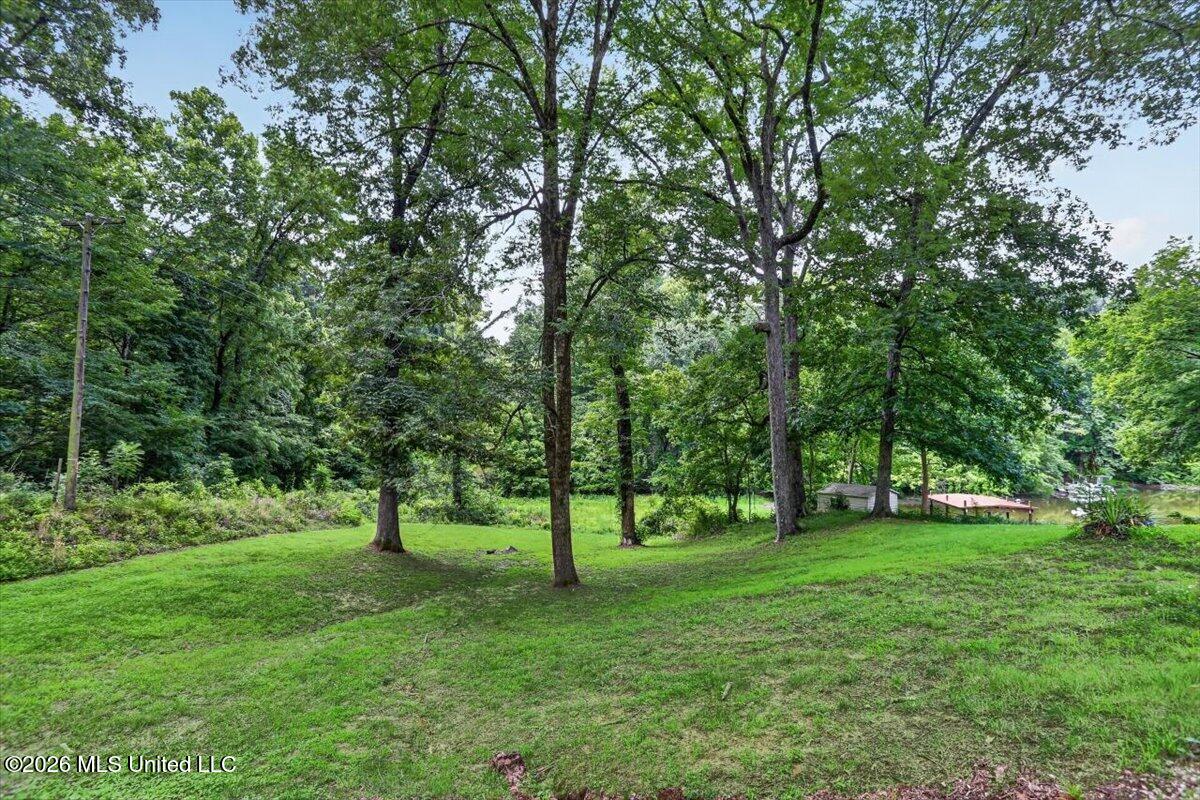 10641 Ben Lomond Cove Property Photo 25