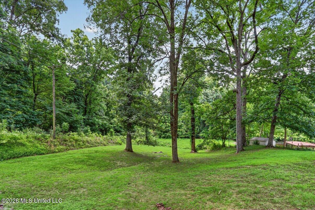 10641 Ben Lomond Cove Property Photo 26