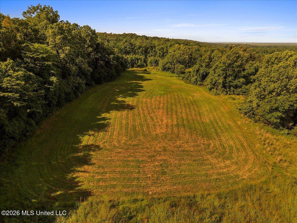 1527 Oneil Creek Road Property Photo 122