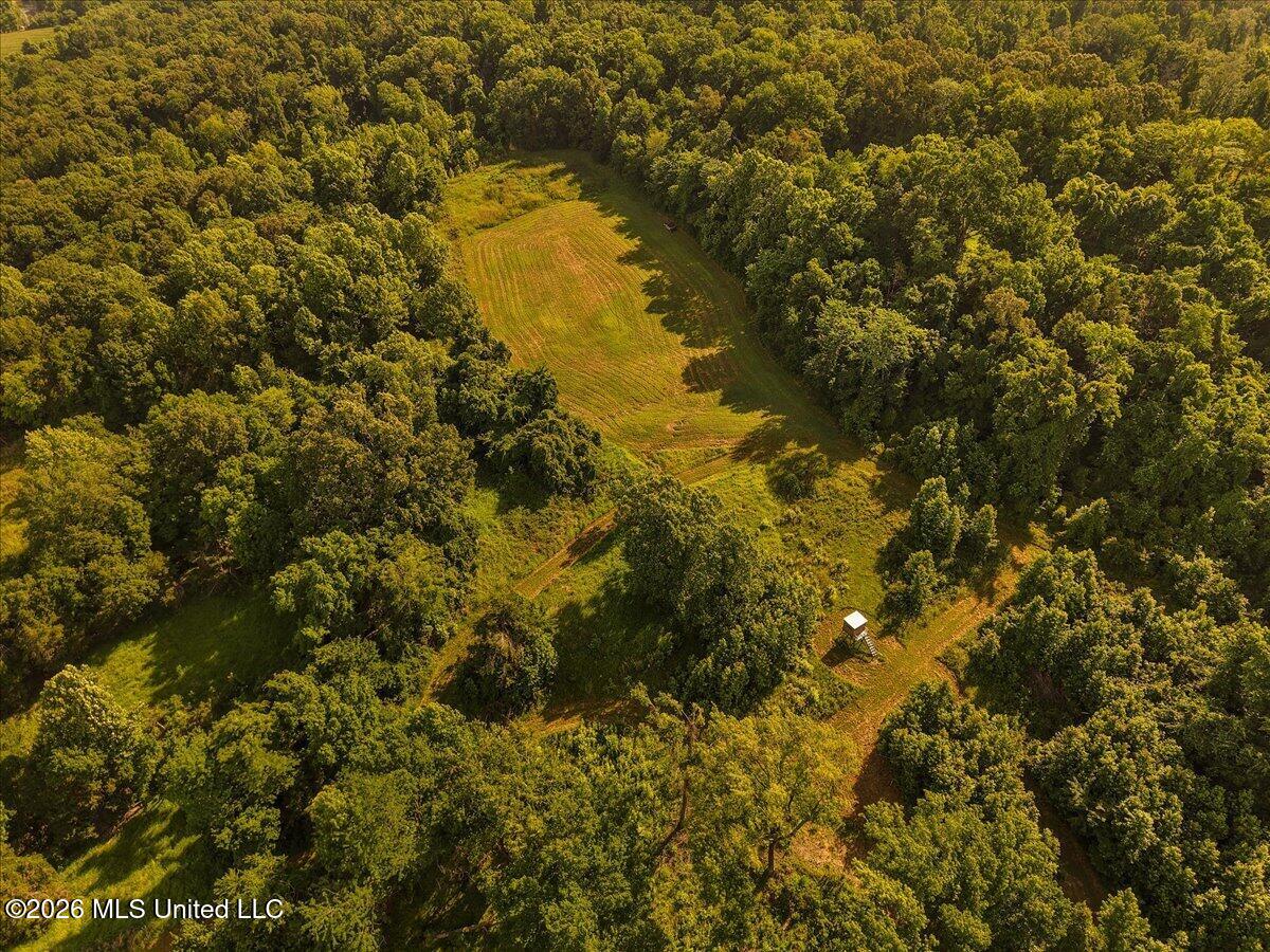 1527 Oneil Creek Road Property Photo 123