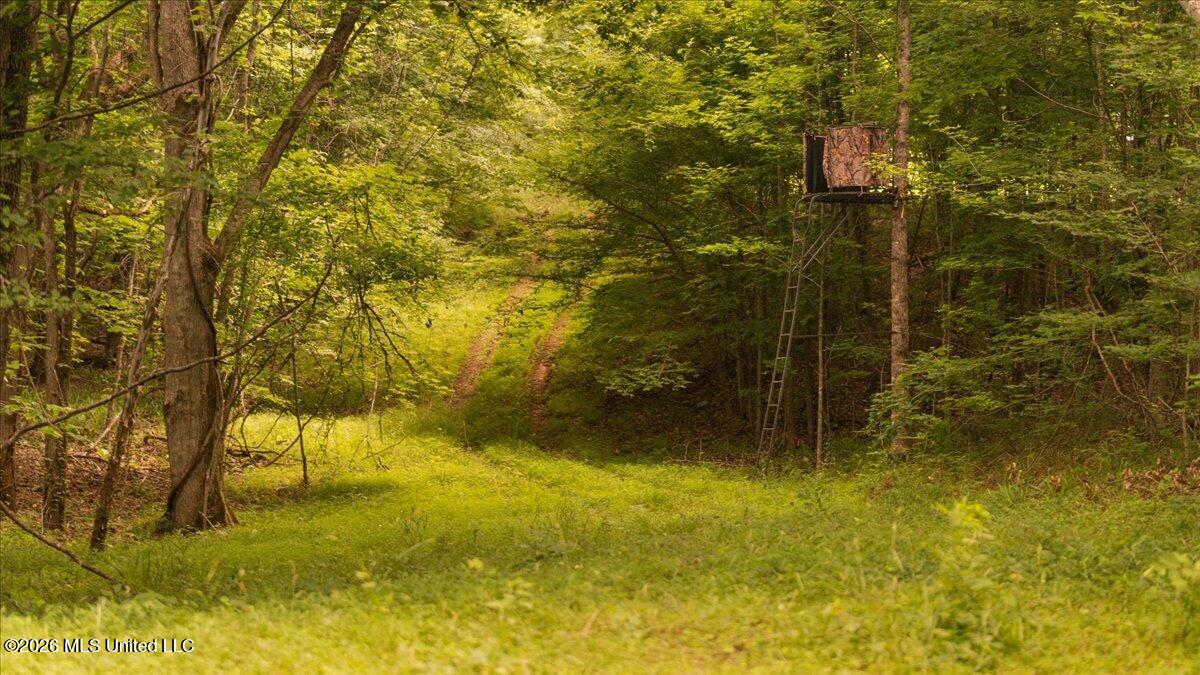 1527 Oneil Creek Road Property Photo 126