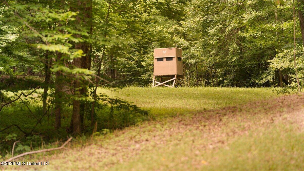 1527 Oneil Creek Road Property Photo 127