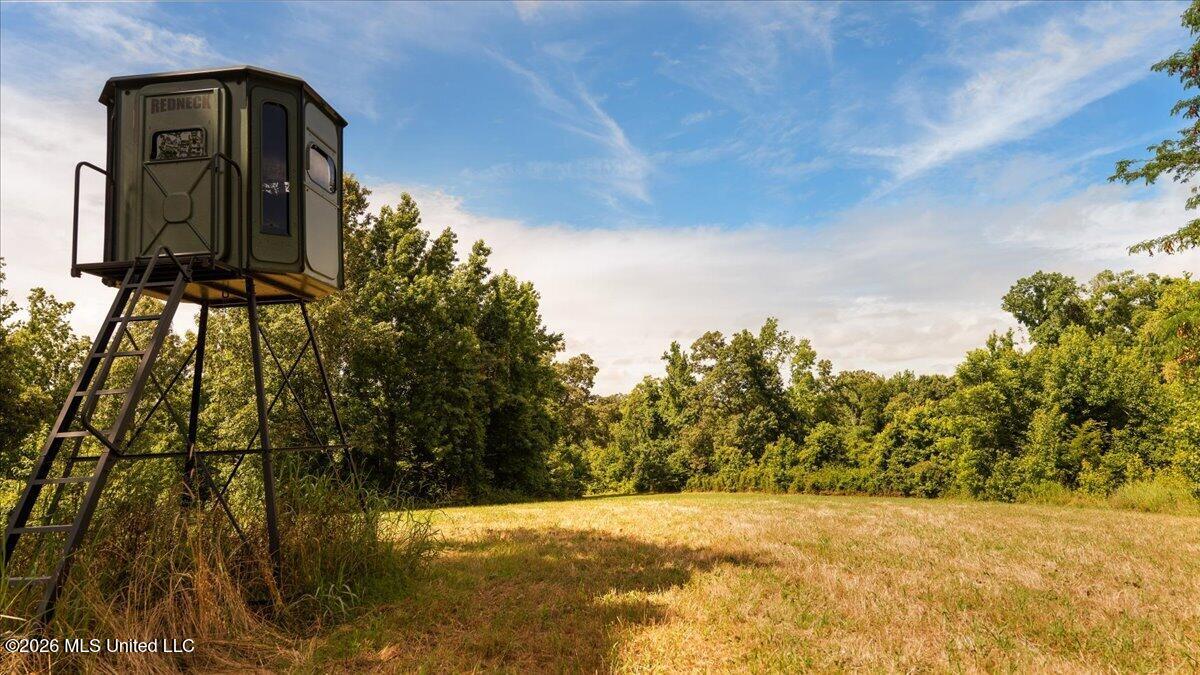 1527 Oneil Creek Road Property Photo 130