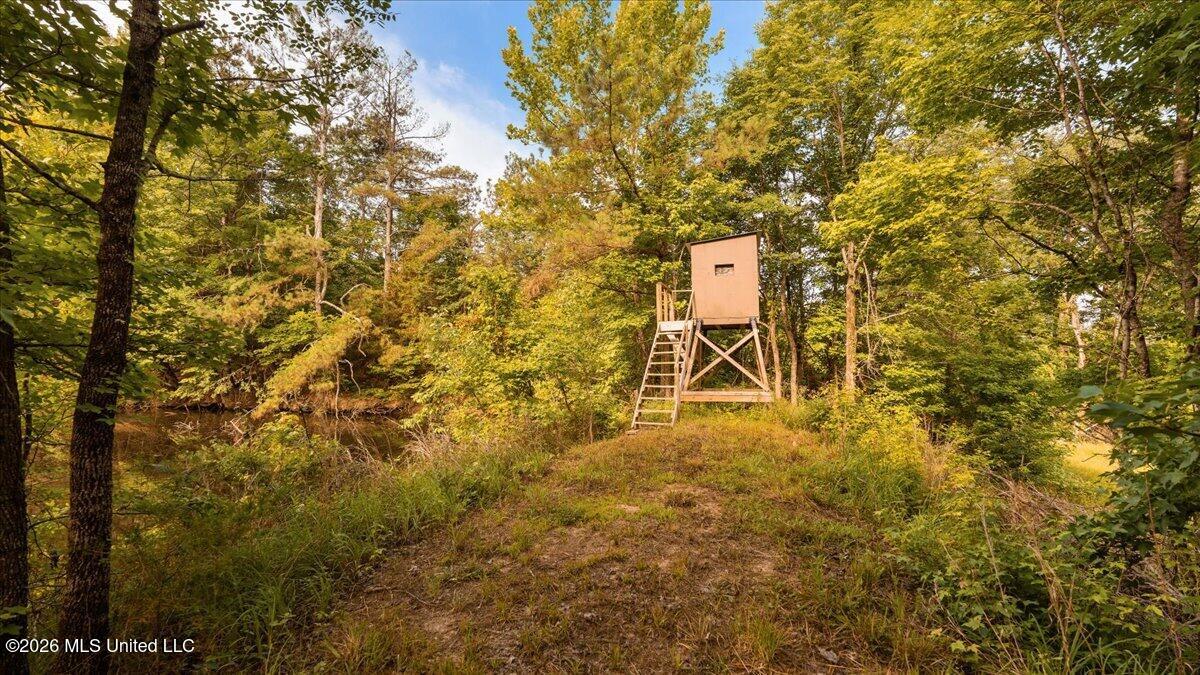 1527 Oneil Creek Road Property Photo 131