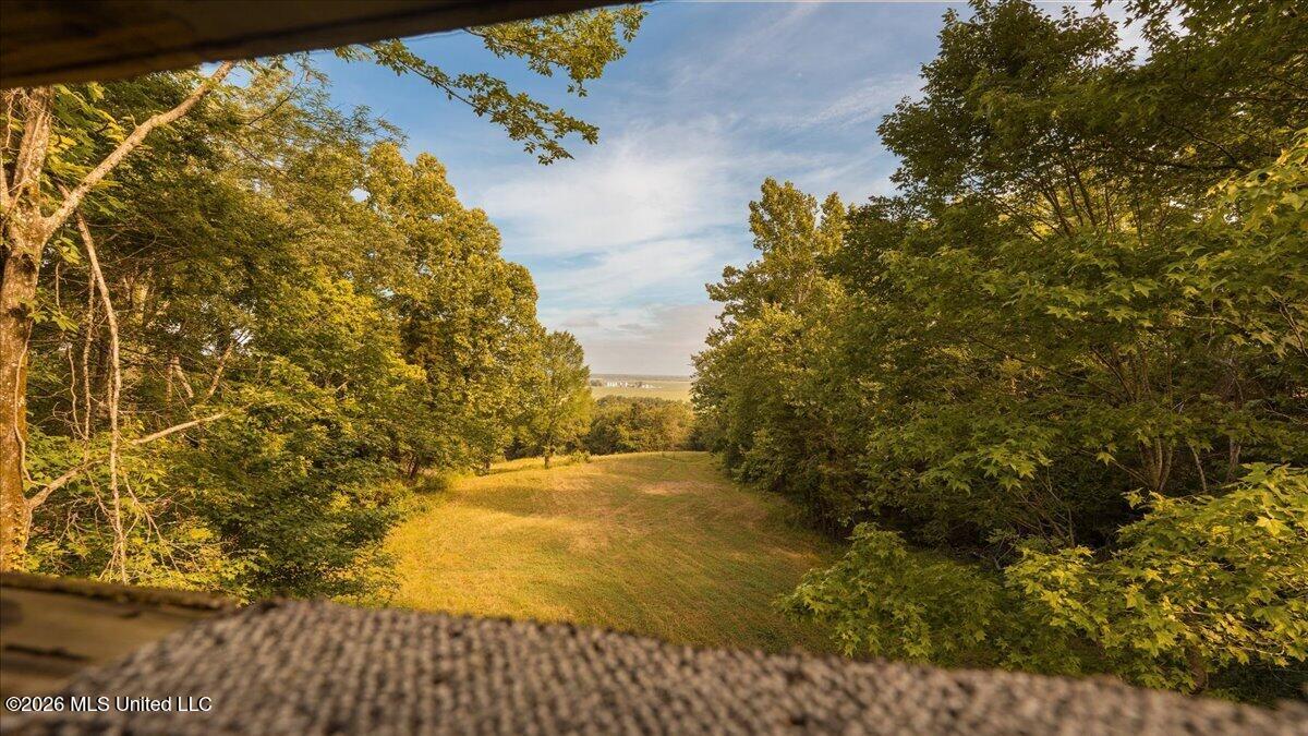 1527 Oneil Creek Road Property Photo 134