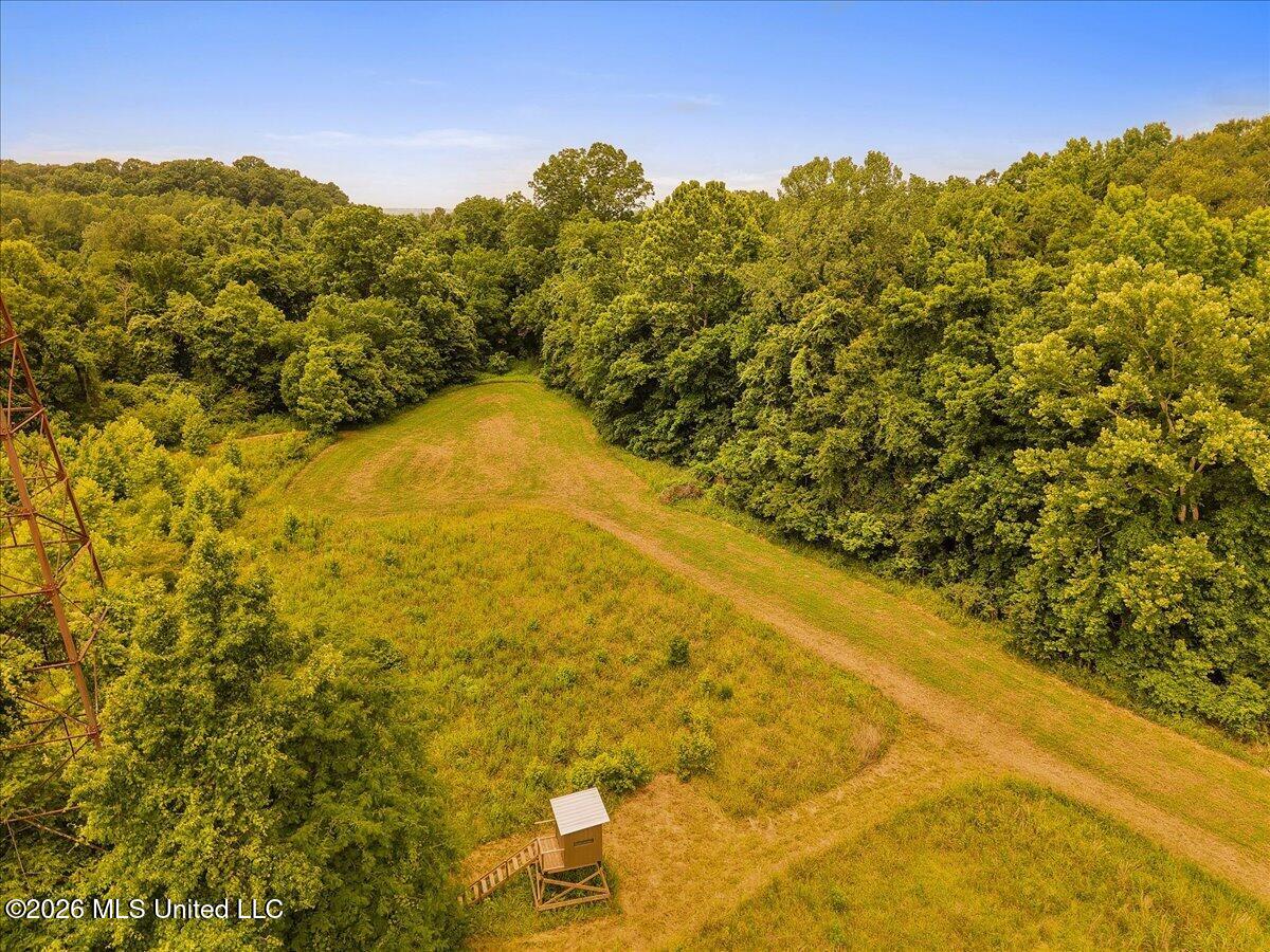 1527 Oneil Creek Road Property Photo 135