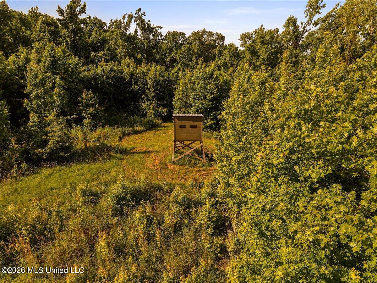 1527 Oneil Creek Road Property Photo 138
