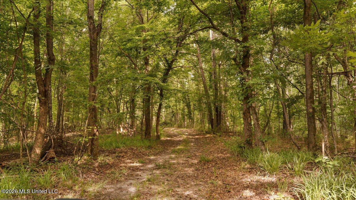 1527 Oneil Creek Road Property Photo 143