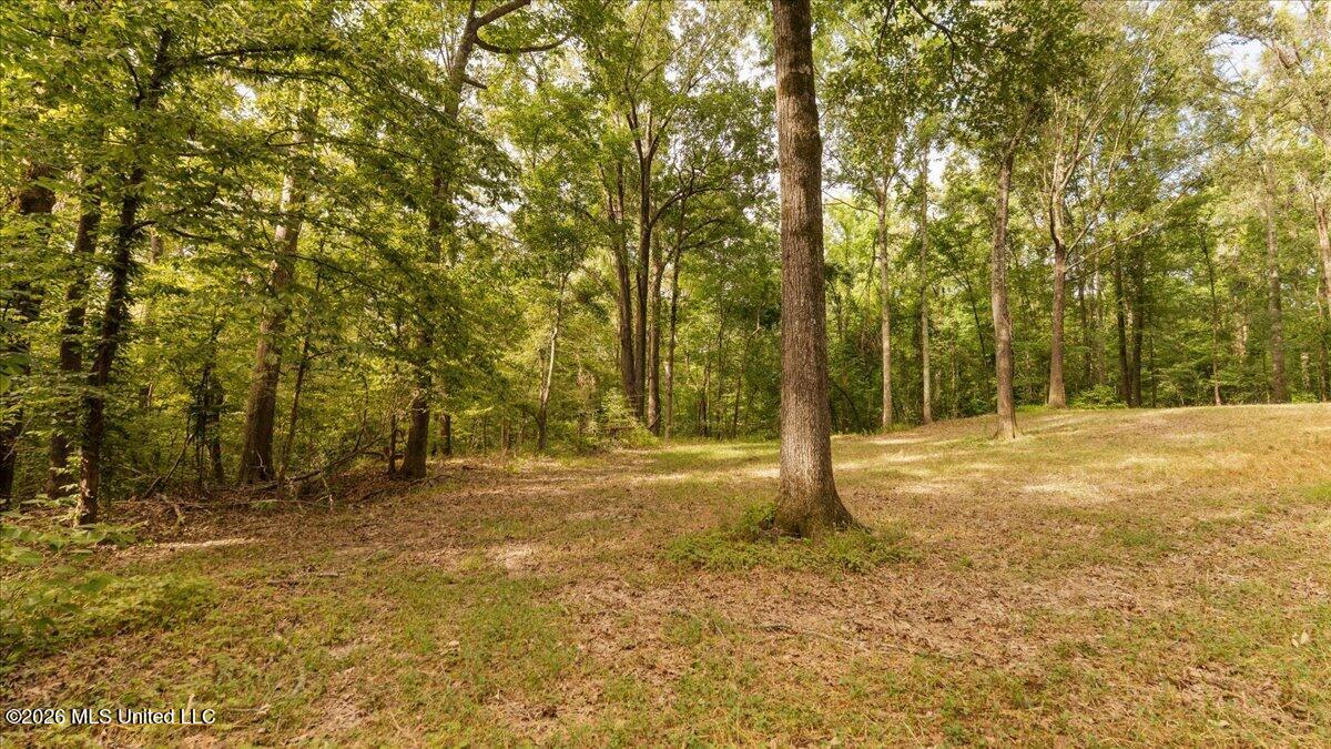 1527 Oneil Creek Road Property Photo 144
