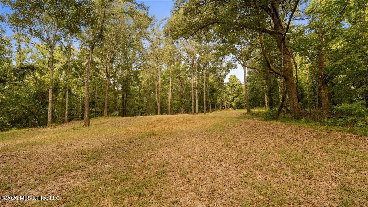 1527 Oneil Creek Road Property Photo 145
