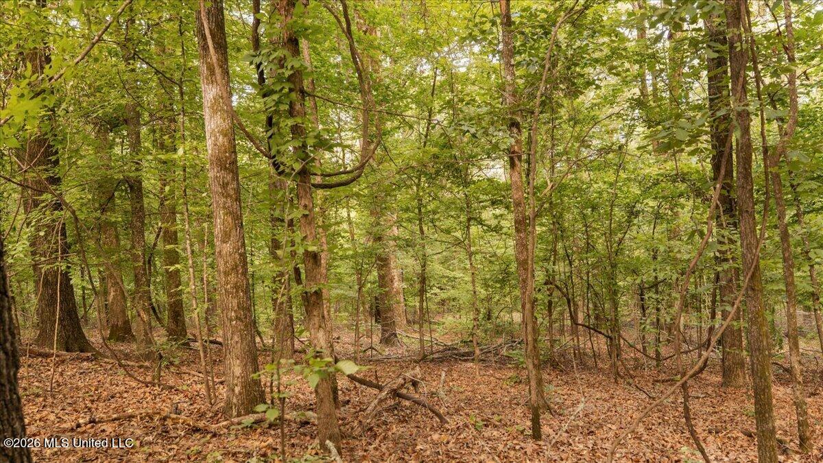 1527 Oneil Creek Road Property Photo 146