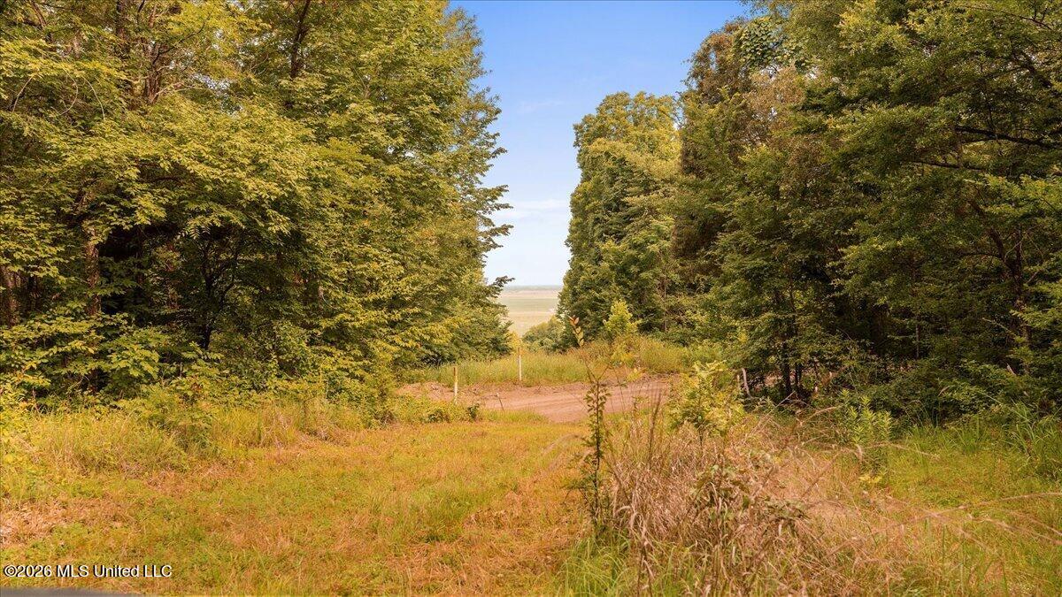 1527 Oneil Creek Road Property Photo 147
