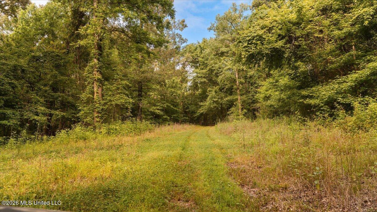 1527 Oneil Creek Road Property Photo 148