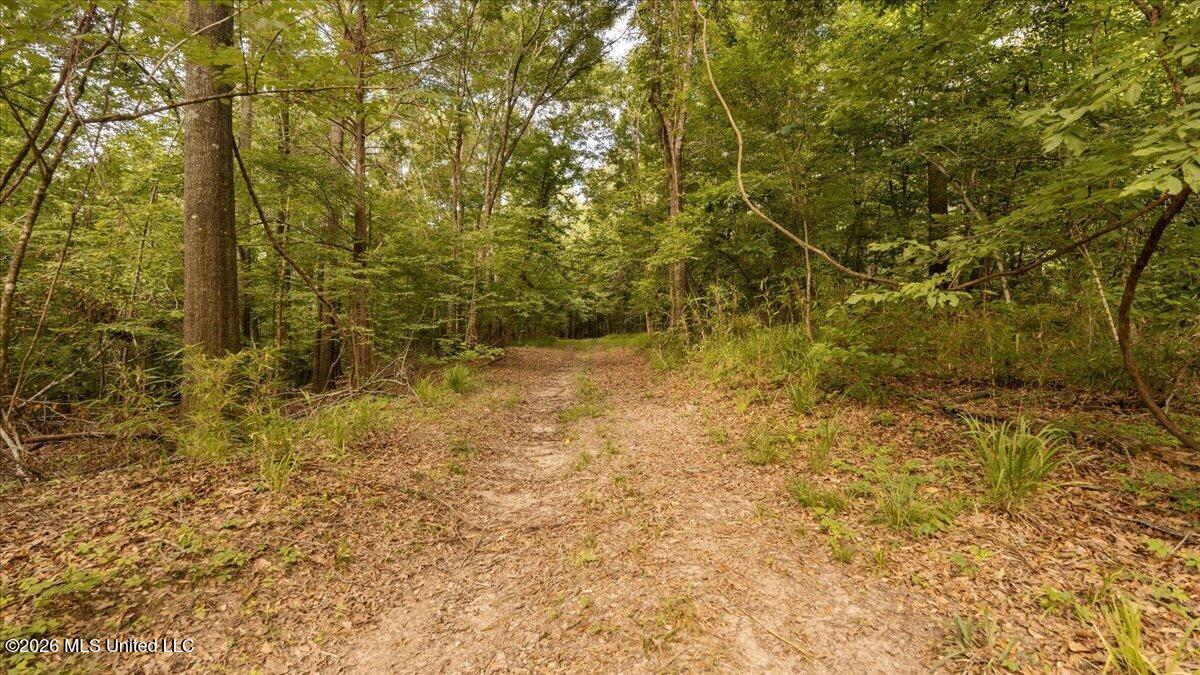 1527 Oneil Creek Road Property Photo 149
