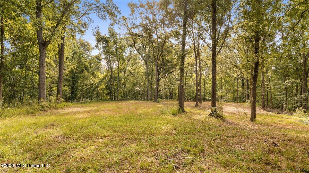 1527 Oneil Creek Road Property Photo 150