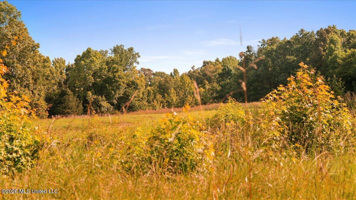 1527 Oneil Creek Road Property Photo 152