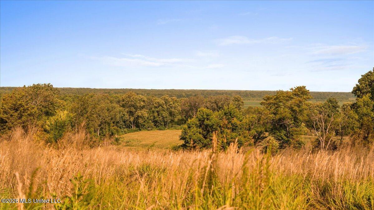 1527 Oneil Creek Road Property Photo 153