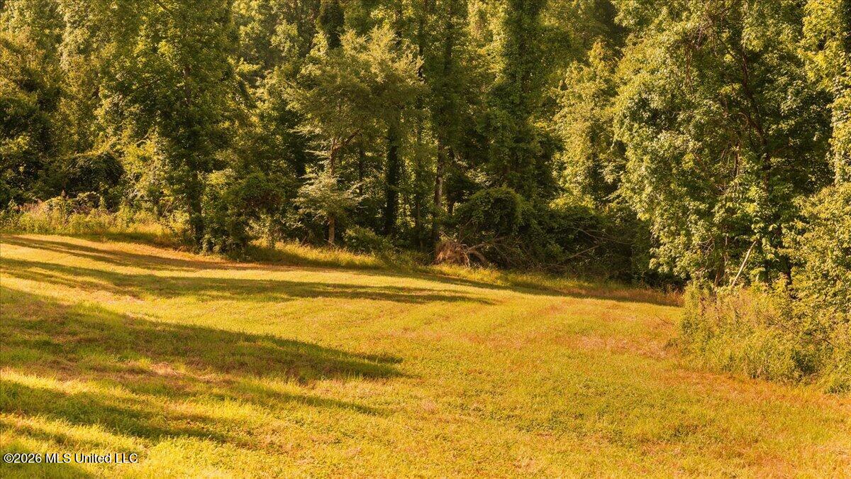 1527 Oneil Creek Road Property Photo 154
