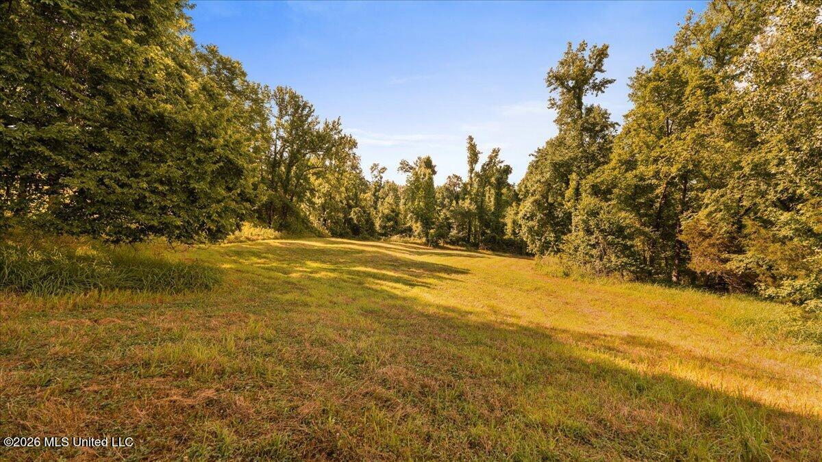 1527 Oneil Creek Road Property Photo 156