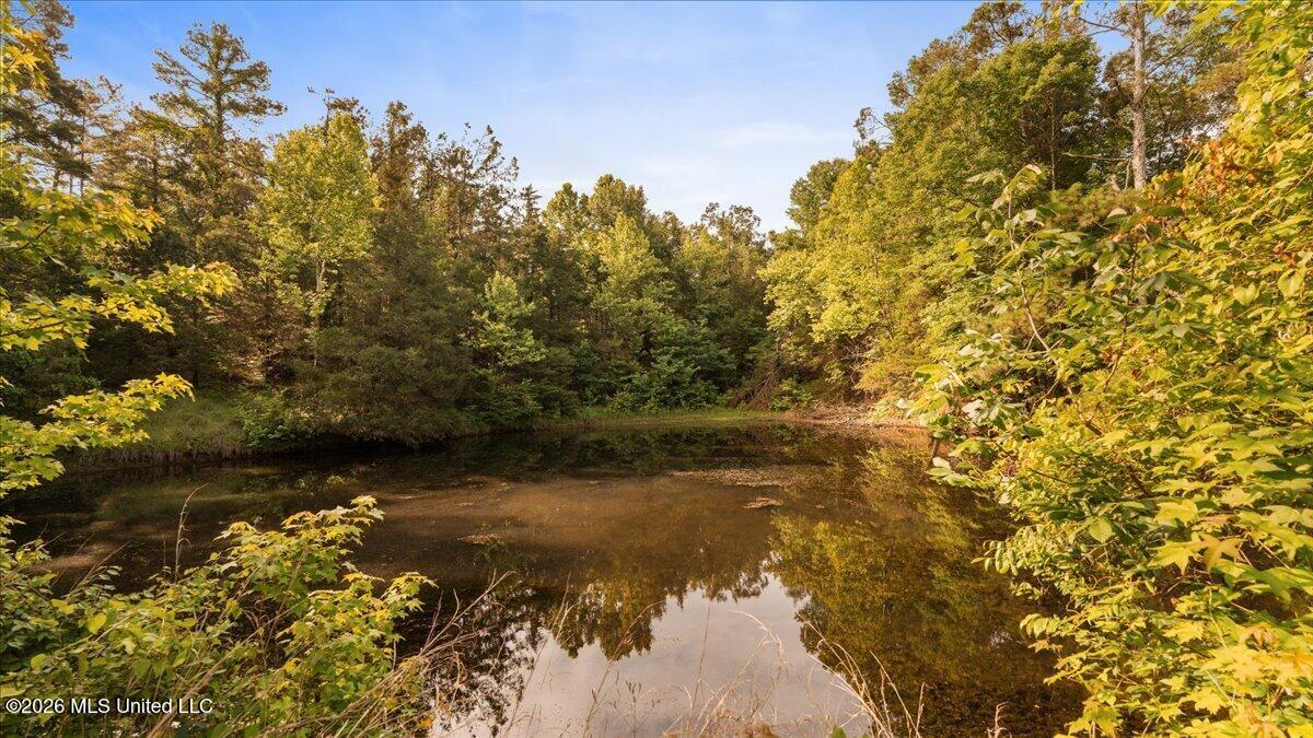1527 Oneil Creek Road Property Photo 158