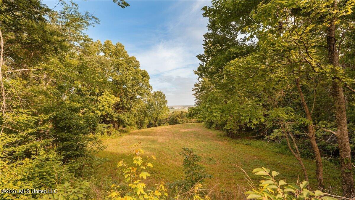 1527 Oneil Creek Road Property Photo 159