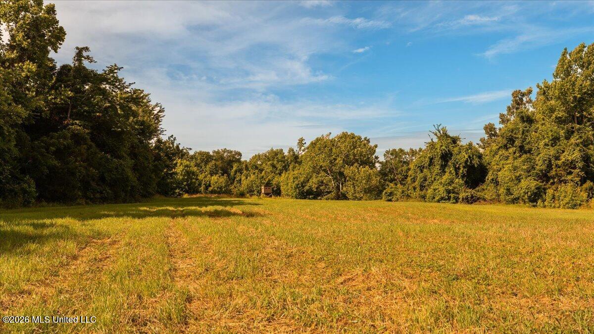 1527 Oneil Creek Road Property Photo 161