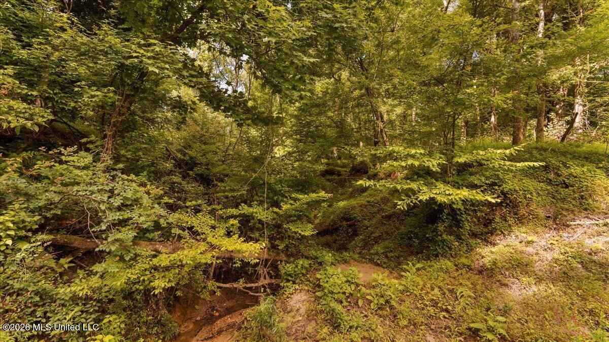 1527 Oneil Creek Road Property Photo 162