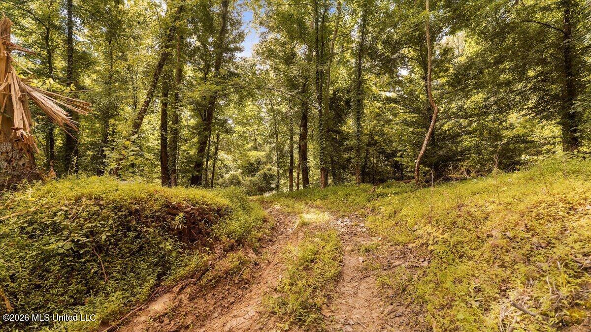1527 Oneil Creek Road Property Photo 165