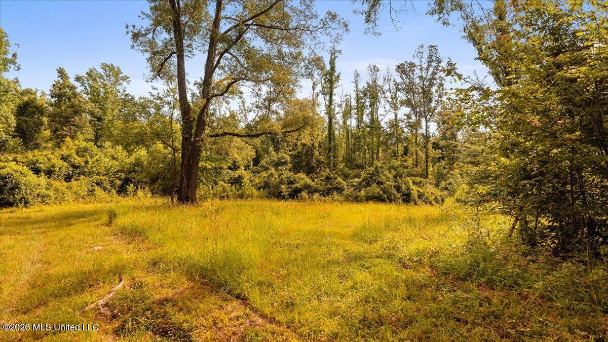 1527 Oneil Creek Road Property Photo 166