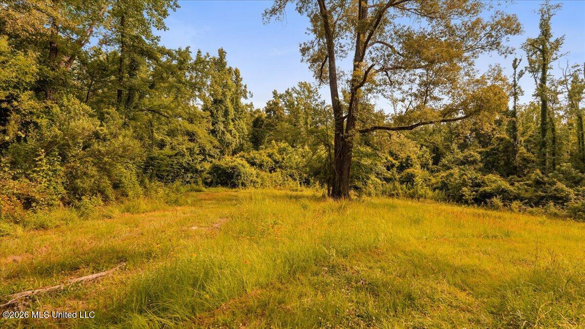 1527 Oneil Creek Road Property Photo 167
