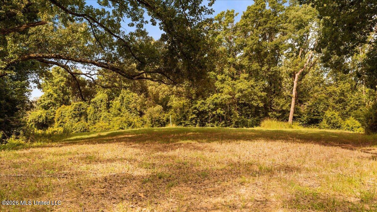 1527 Oneil Creek Road Property Photo 169