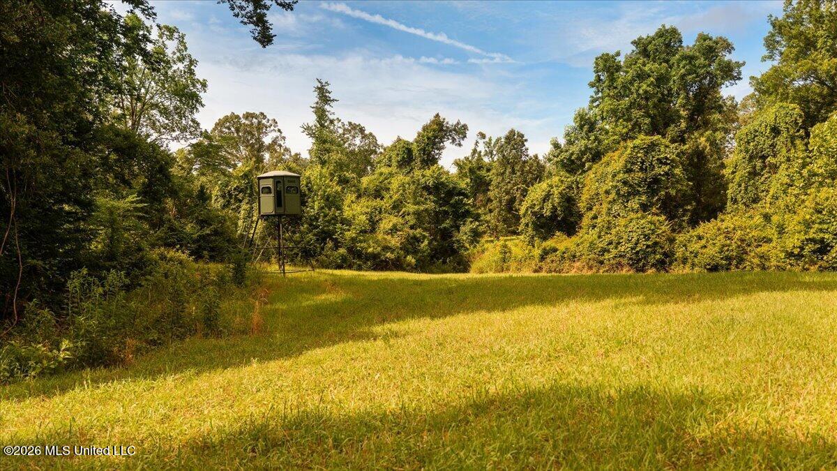 1527 Oneil Creek Road Property Photo 170