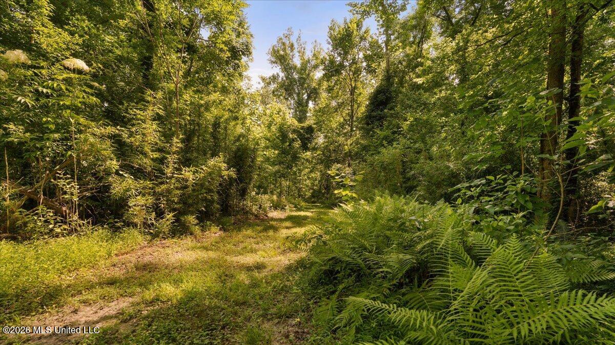1527 Oneil Creek Road Property Photo 171