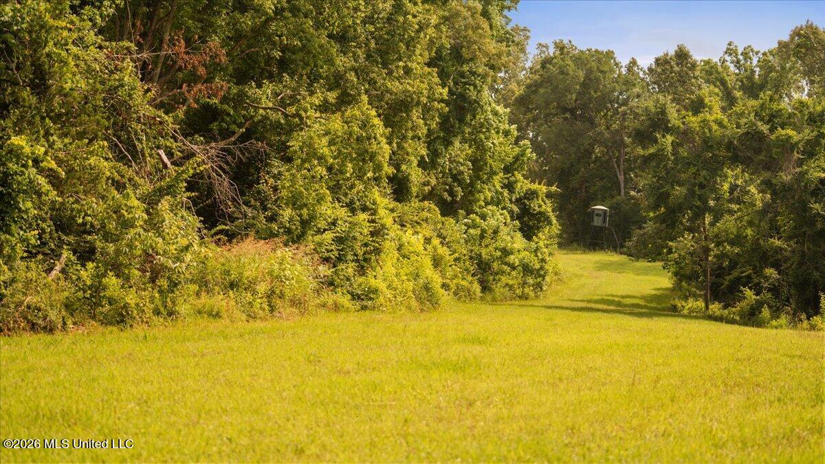 1527 Oneil Creek Road Property Photo 173