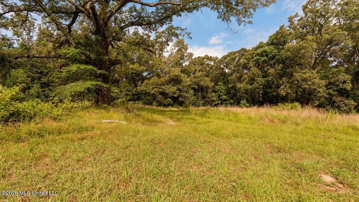 1527 Oneil Creek Road Property Photo 174