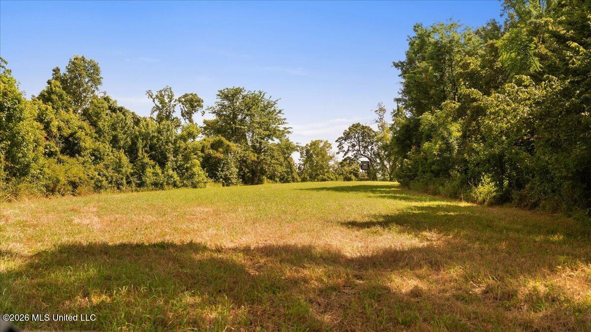 1527 Oneil Creek Road Property Photo 175