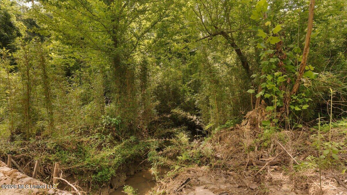 1527 Oneil Creek Road Property Photo 177