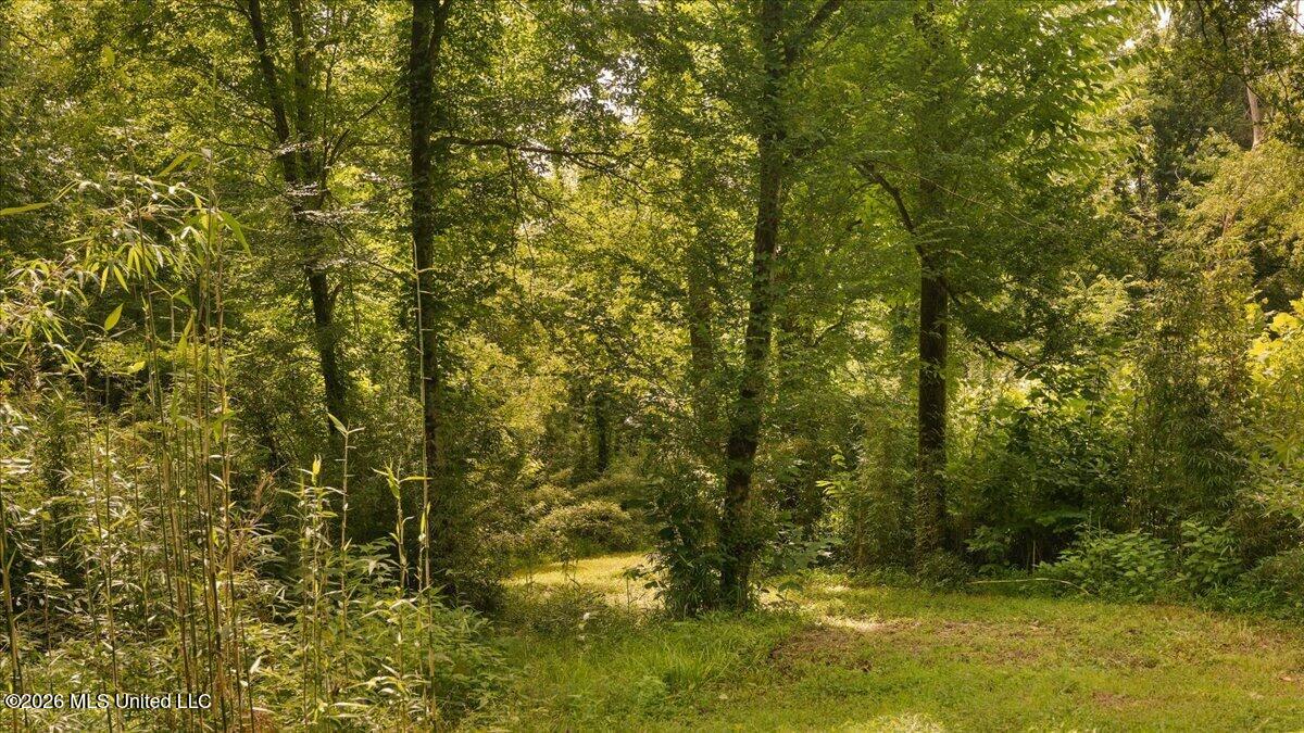 1527 Oneil Creek Road Property Photo 178