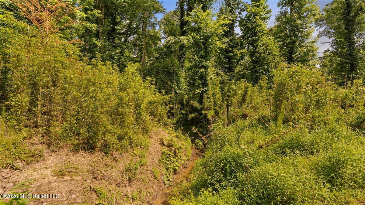 1527 Oneil Creek Road Property Photo 180
