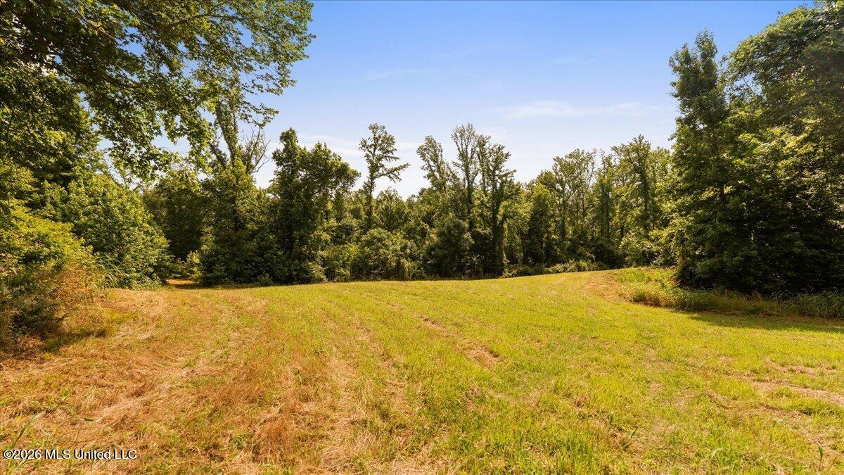 1527 Oneil Creek Road Property Photo 181