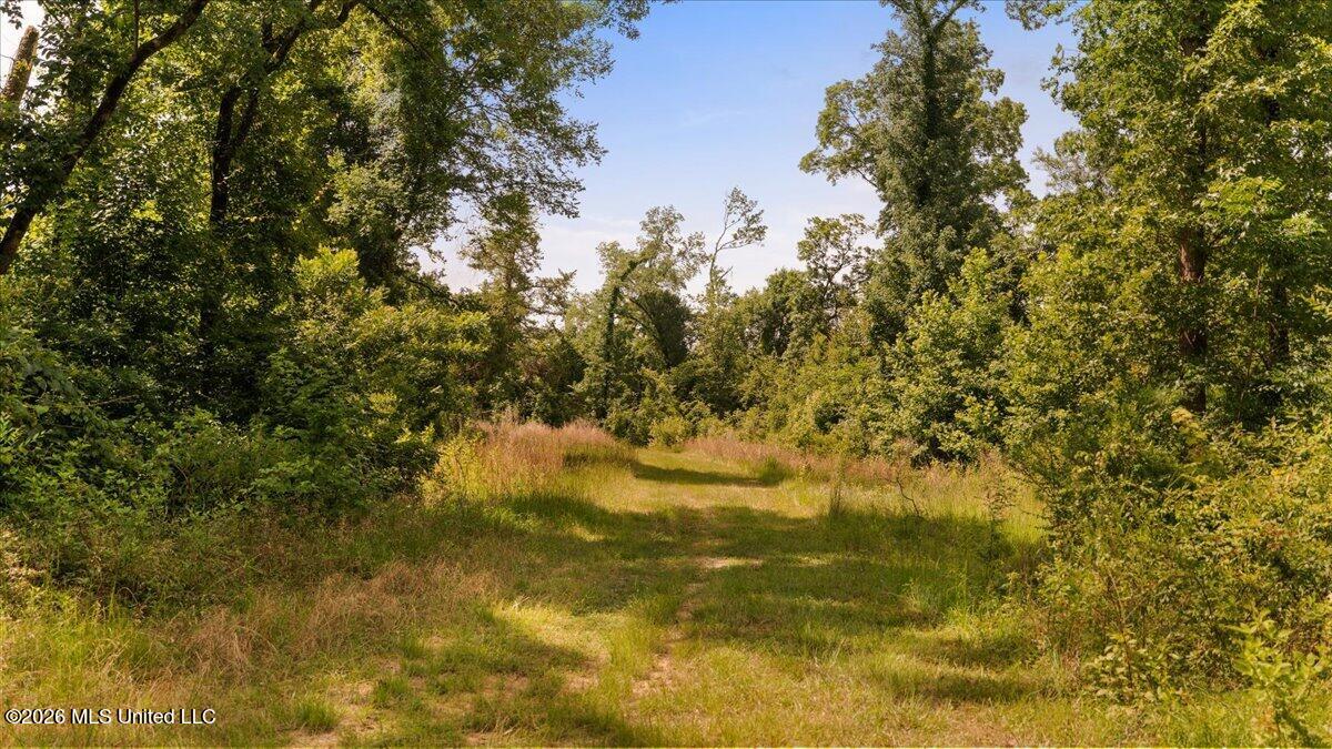 1527 Oneil Creek Road Property Photo 183