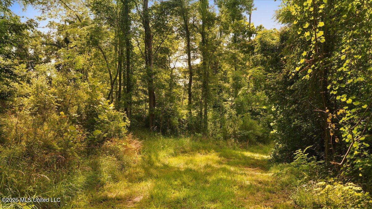 1527 Oneil Creek Road Property Photo 184