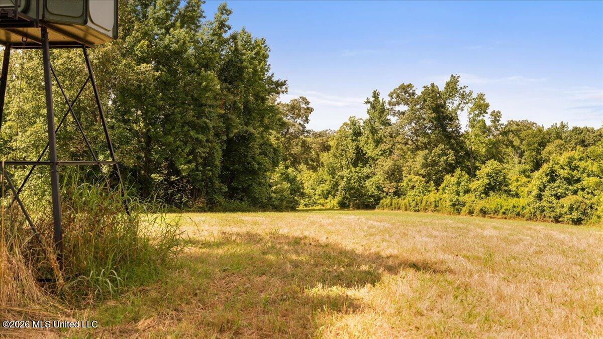 1527 Oneil Creek Road Property Photo 185