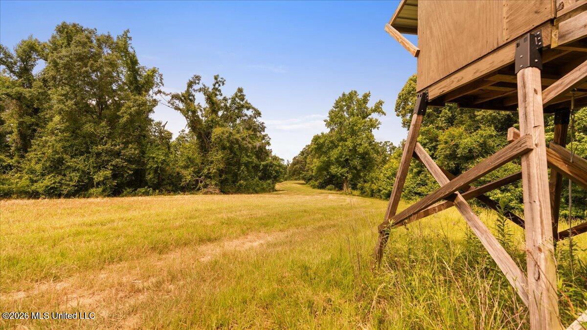 1527 Oneil Creek Road Property Photo 187